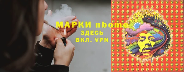 сатива Липки