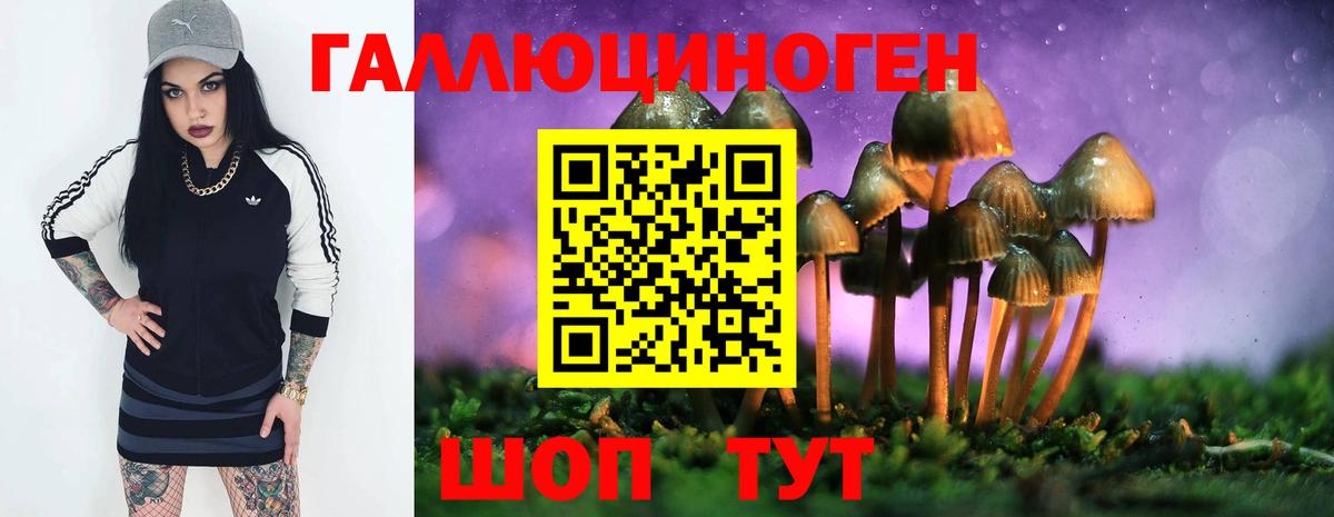 Галлюциногенные грибы мухоморы Майский
