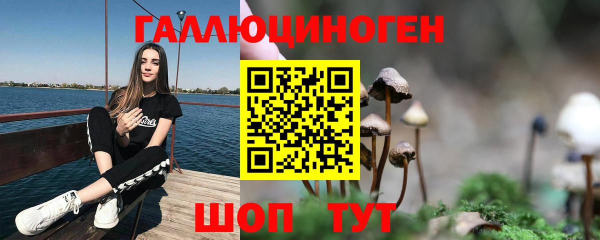 Галлюциногенные грибы GOLDEN TEACHER  Галлюциногенные грибы мицелий  Майский 