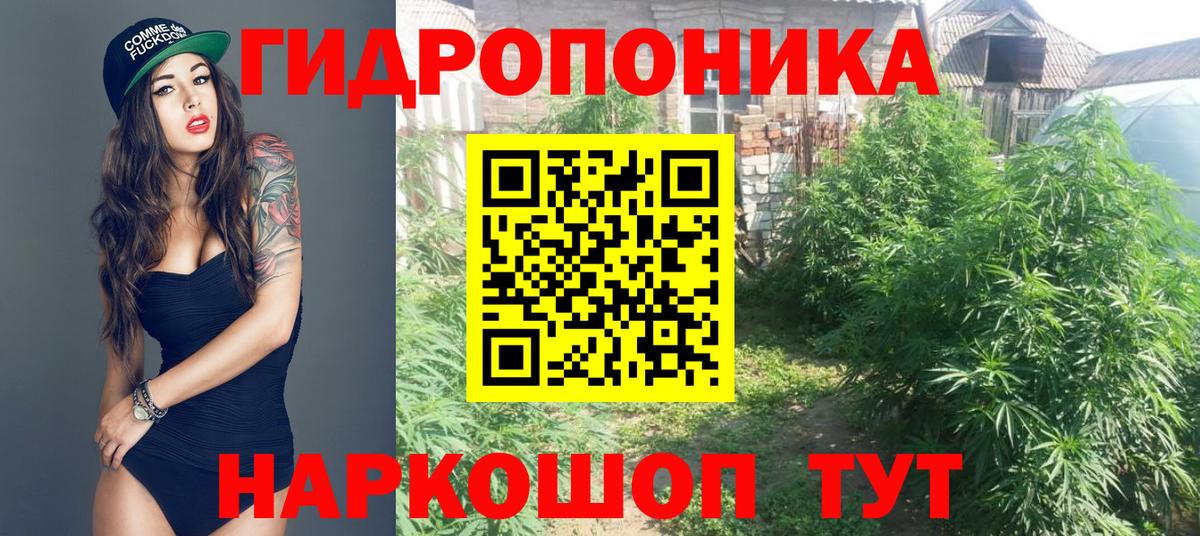 Шишки марихуана планчик Майский